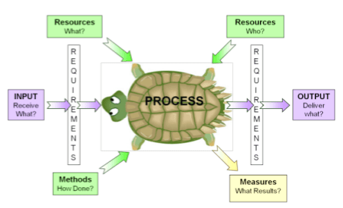 SƠ ĐỒ CON RÙA VÀ LÀM THẾ NÀO ĐỂ SỬ DỤNG CHÚNG