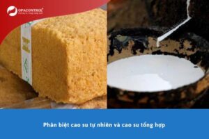 Phân biệt cao su tự nhiên và cao su tổng hợp