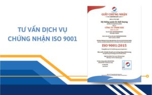 Tư vấn chứng nhận ISO 9001 cho doanh nghiệp - Hỗ trợ trọn gói