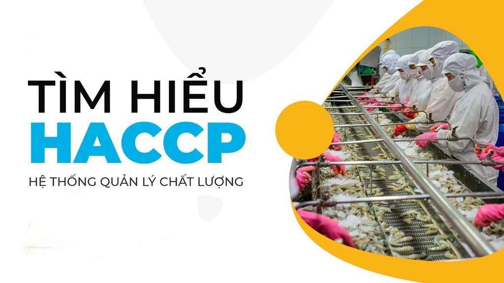HACCP là gì