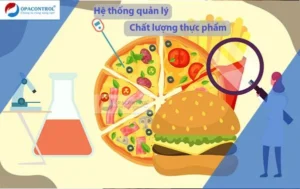 Hệ thống quản lý chất lượng thực phẩm