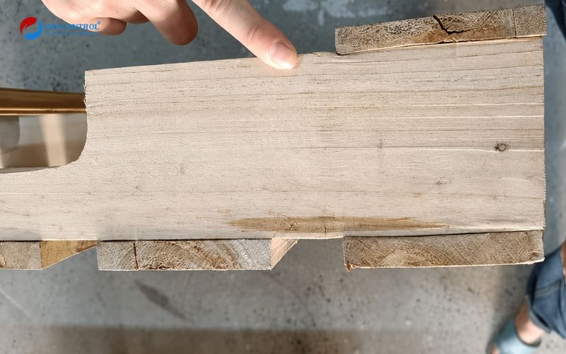 Kiểm tra Pallet sau khi thử nghiệm 