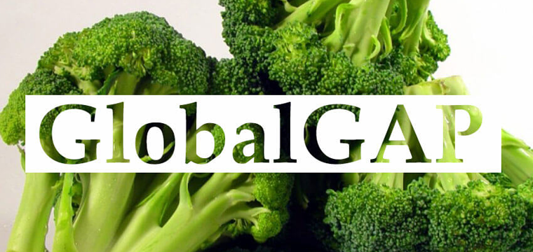 Nâng tầm chất lượng nông sản với Tiêu chuẩn Global GAP| OPA News