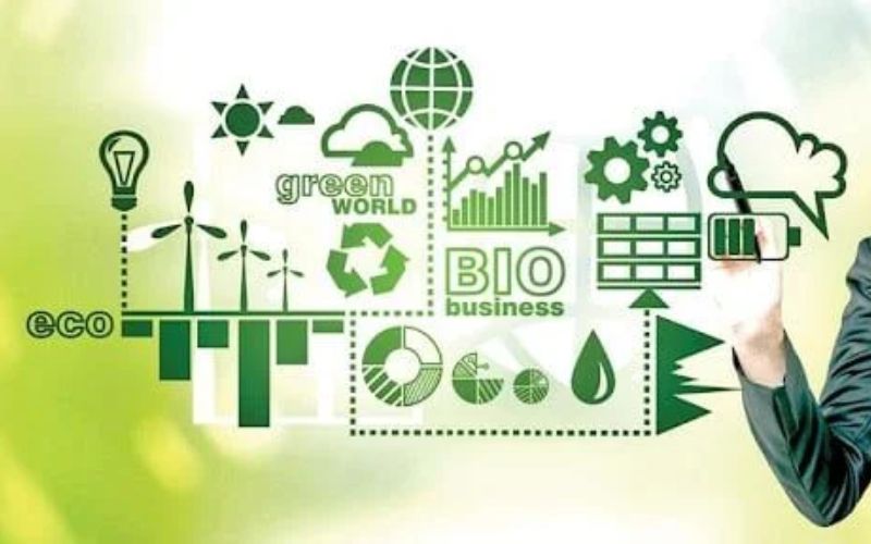 Doanh nghiệp nên thiết lập Hệ thống quản lý môi trường theo ISO 14001:2015