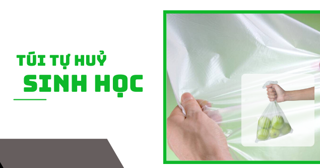 Túi tự hủy sinh học