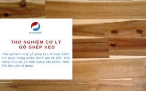 Dịch vụ thử nghiệm cơ lý gỗ ghép keo