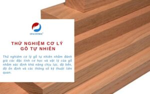 Dịch vụ thử nghiệm cơ lý gỗ tự nhiên tại OPACONTROL