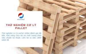 Thử nghiệm cơ lý Pallet đạt chuẩn kỹ thuật
