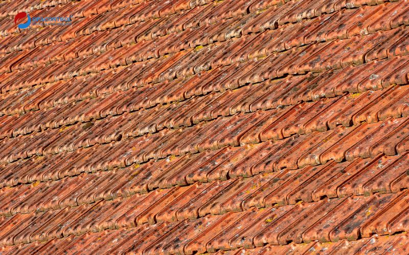 Những lưu ý khi thực hiện hợp quy ngói đất sét nung 